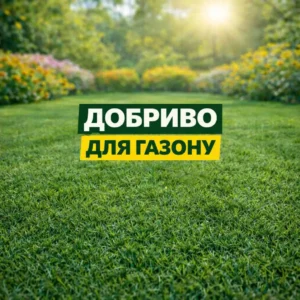 Добриво для газону