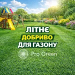 Літнє добриво для газону